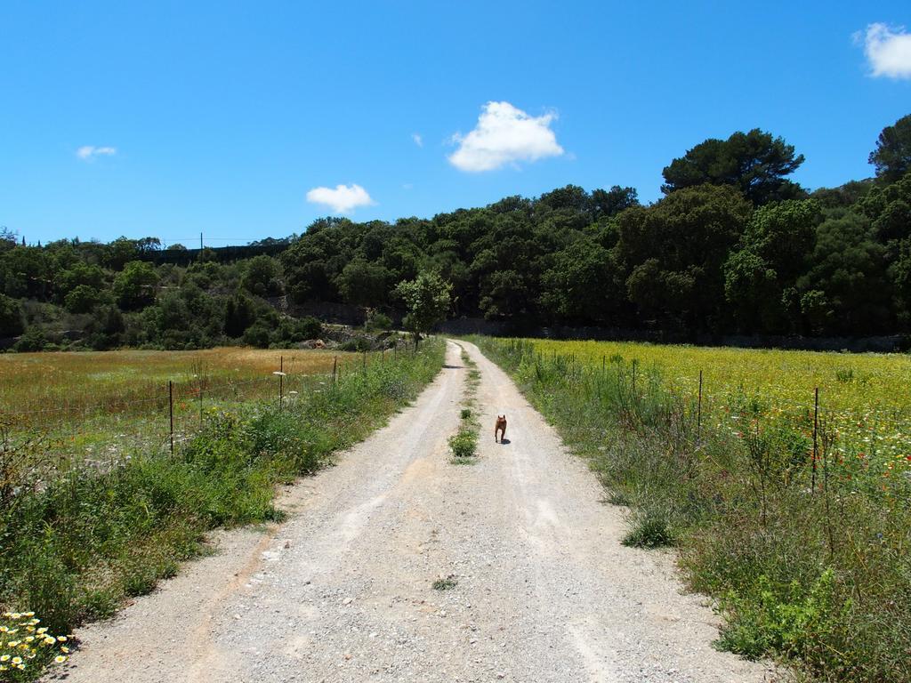 Hébergement de vacances Son Reus